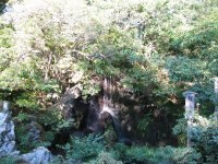 IMG_3349.JPG